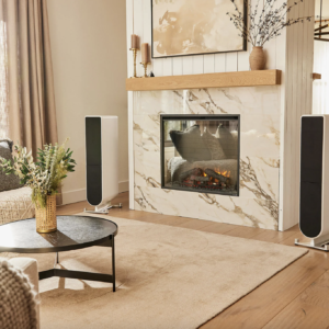 PS Audio, Aspen FR10, Altavoz Torre
