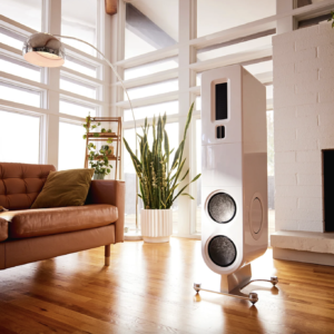 PS Audio, Aspen FR20, Altavoz Torre